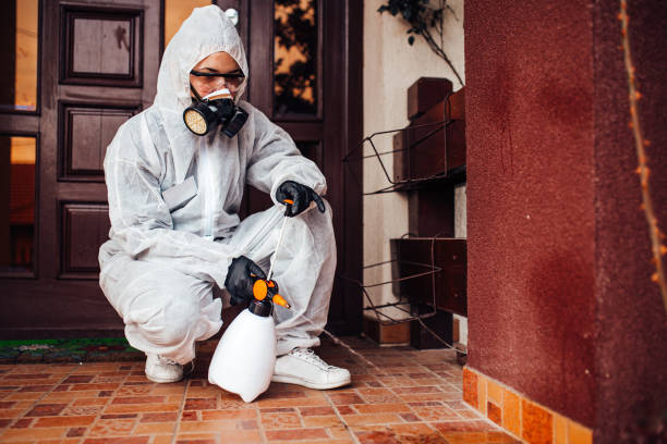 Reliable Bed Bug Control contractor in Forsyth, GA by Nex Pest Control